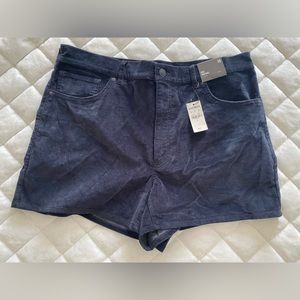 NWT Black Velvet High Waist Shorts sz 14 Express